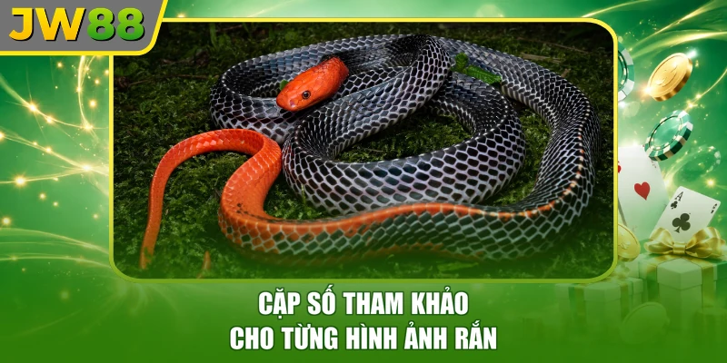Cặp số tham khảo cho từng hình ảnh rắn