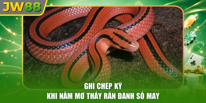 Ghi chép kỹ khi nằm mơ thấy rắn đánh số may