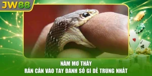 Nằm Mơ Thấy Rắn Cắn Vào Tay Đánh Số Gì Dễ Trúng Nhất