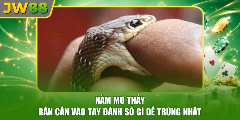 Nằm Mơ Thấy Rắn Cắn Vào Tay Đánh Số Gì Dễ Trúng Nhất