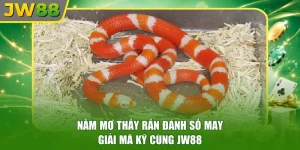 Nằm Mơ Thấy Rắn Đánh Số May - Giải Mã Kỹ Cùng JW88