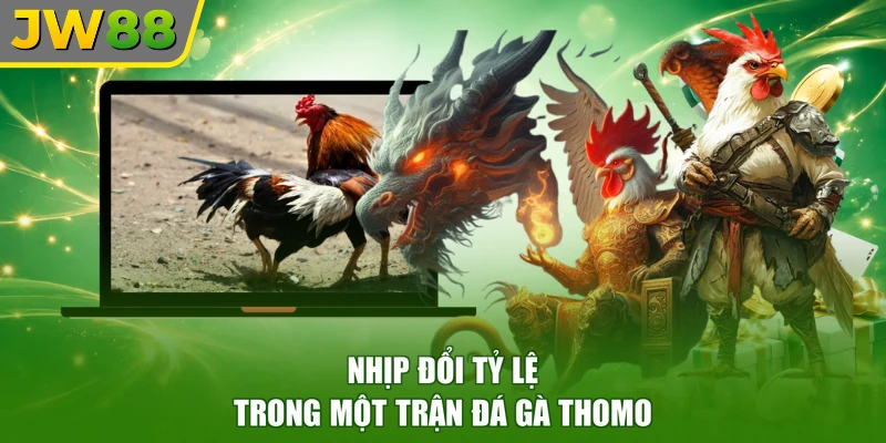 Nhịp đổi tỷ lệ trong một trận đá gà thomo