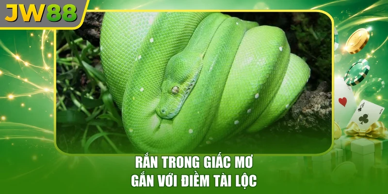 Rắn trong giấc mơ gắn với điềm tài lộc