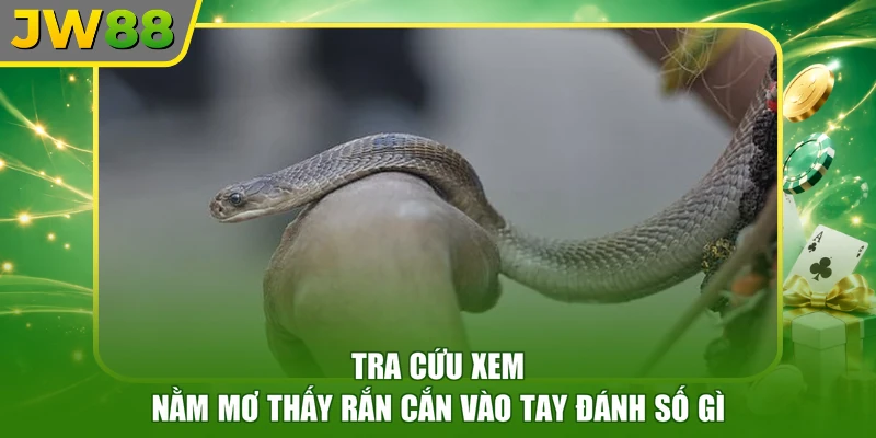 Tra cứu xem nằm mơ thấy rắn cắn vào tay đánh số gì